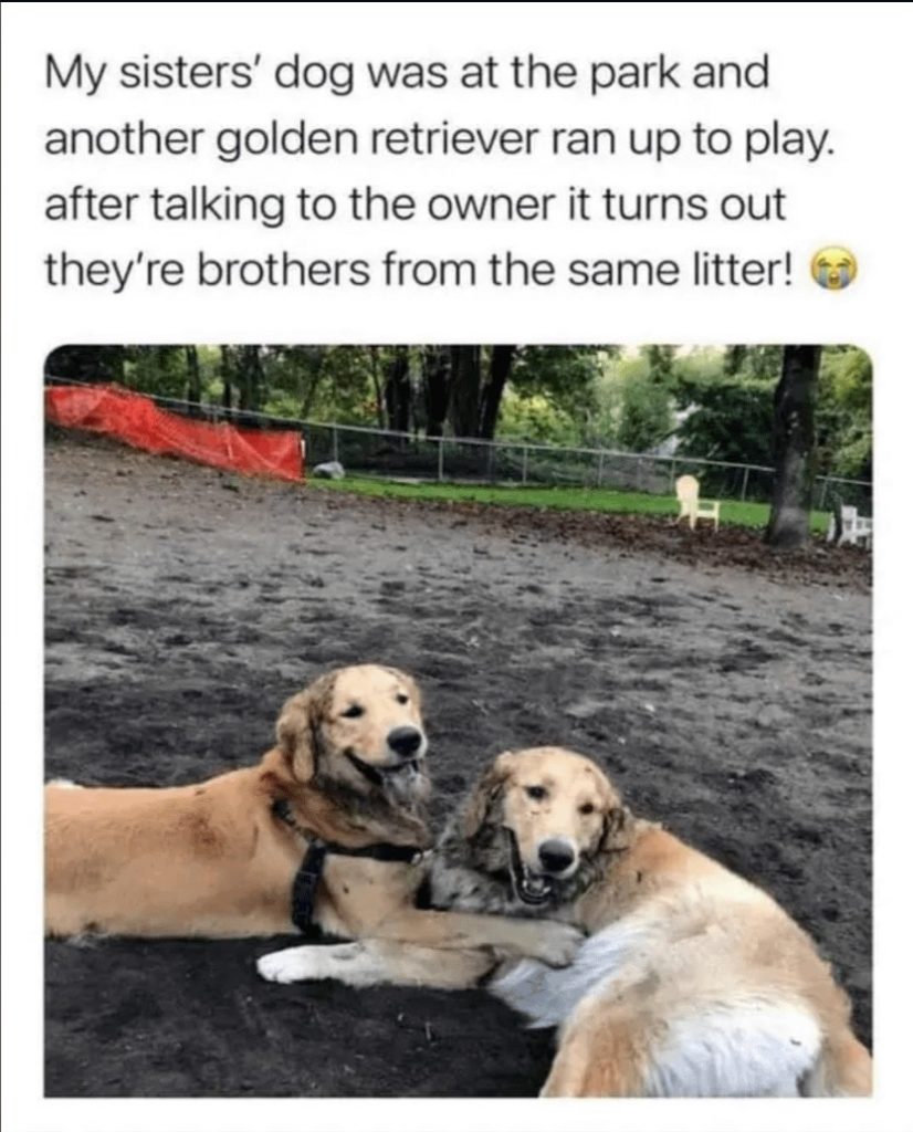 aww moments that make you cry 11