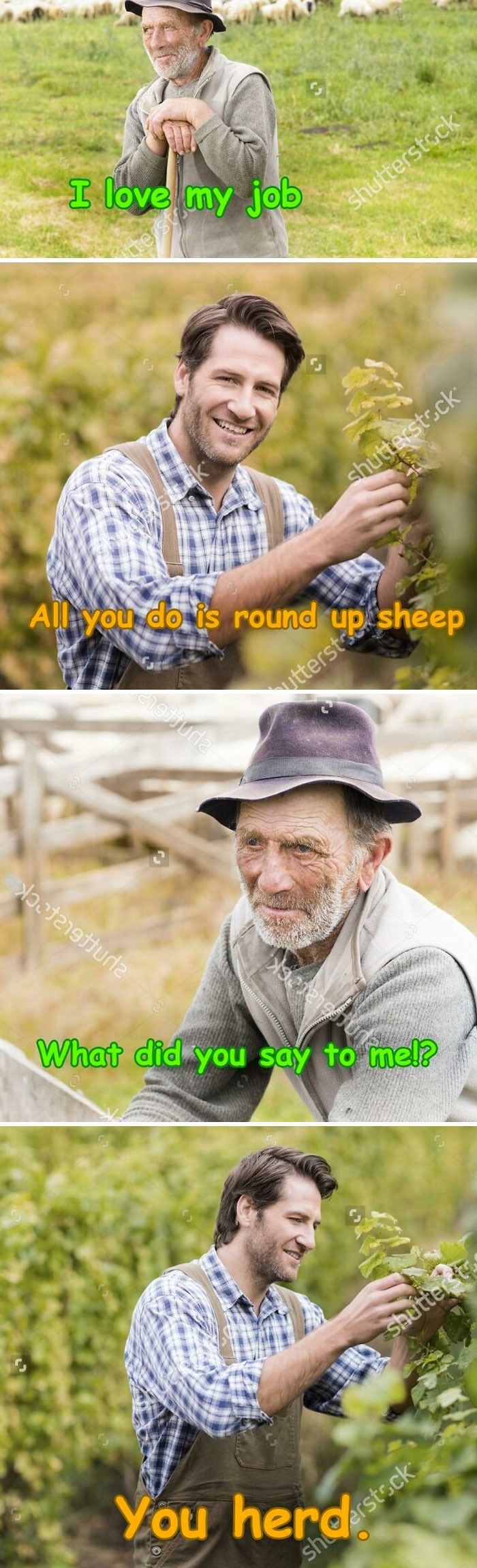 10113 13