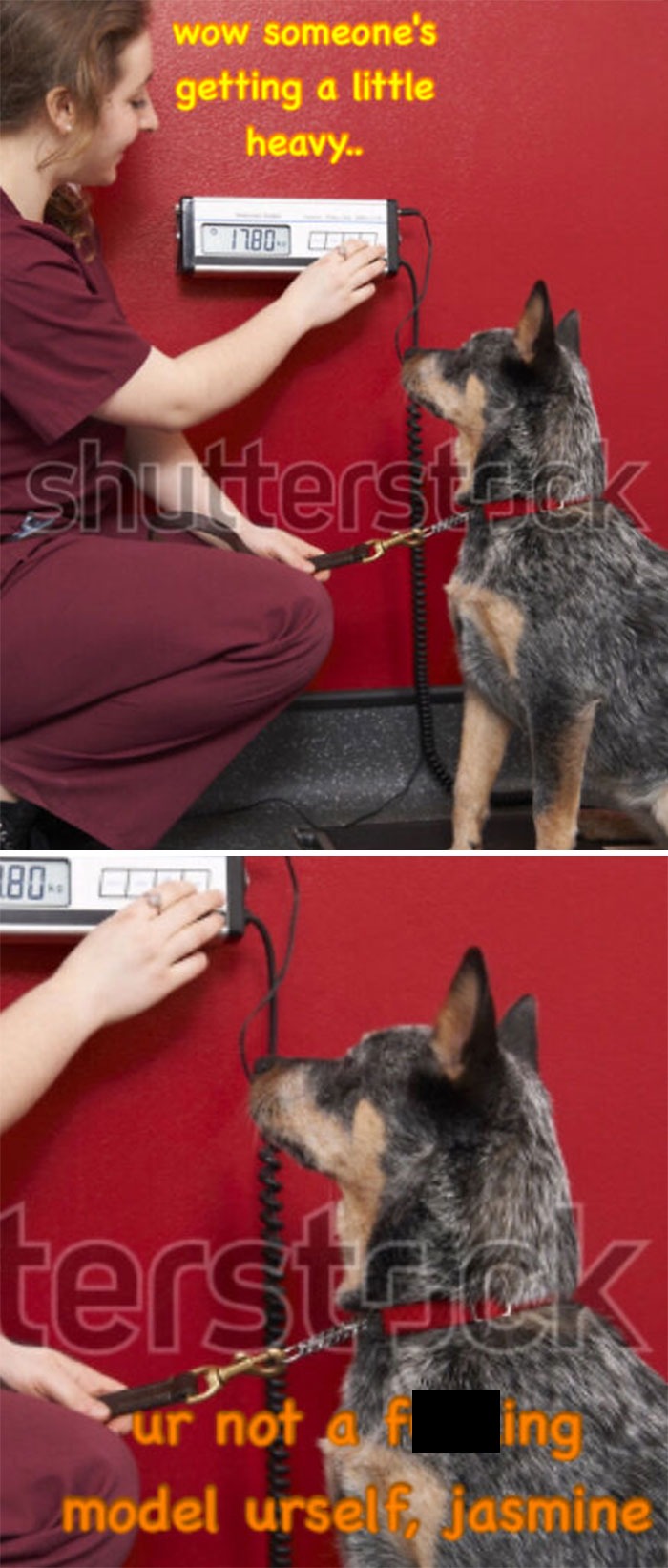 10113 38