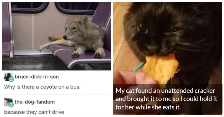 45 Blessed Images That Prove The Internet Is A Gift