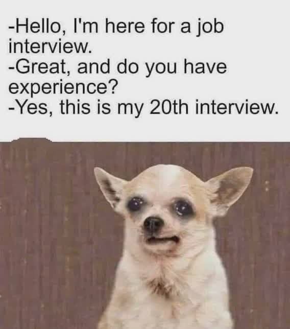 30 Of The Funniest Job Interview Memes Ever 1