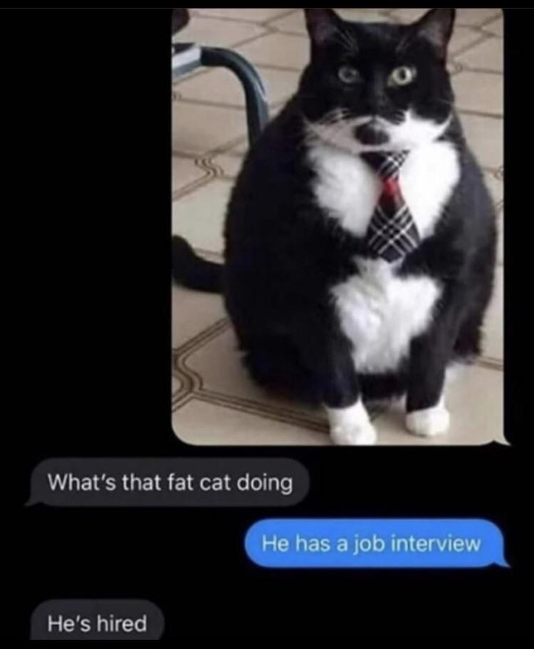 30 Of The Funniest Job Interview Memes Ever 29