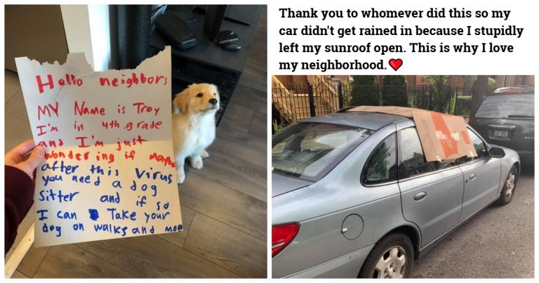 52 Times Wholesome Neighbors Made The World A Better Place