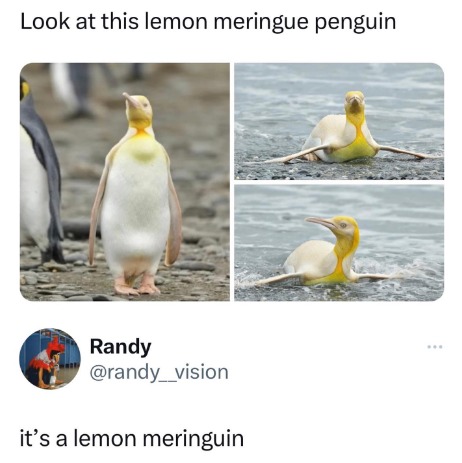 7063 29