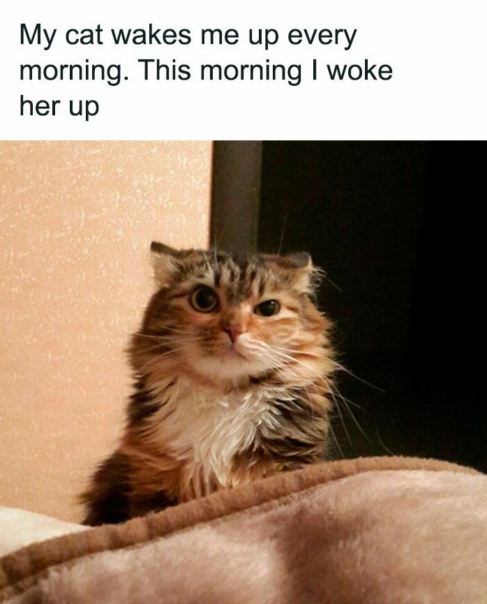 7063 3