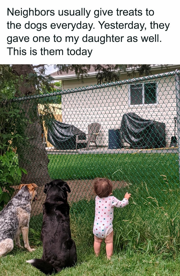 Wholesome Posts