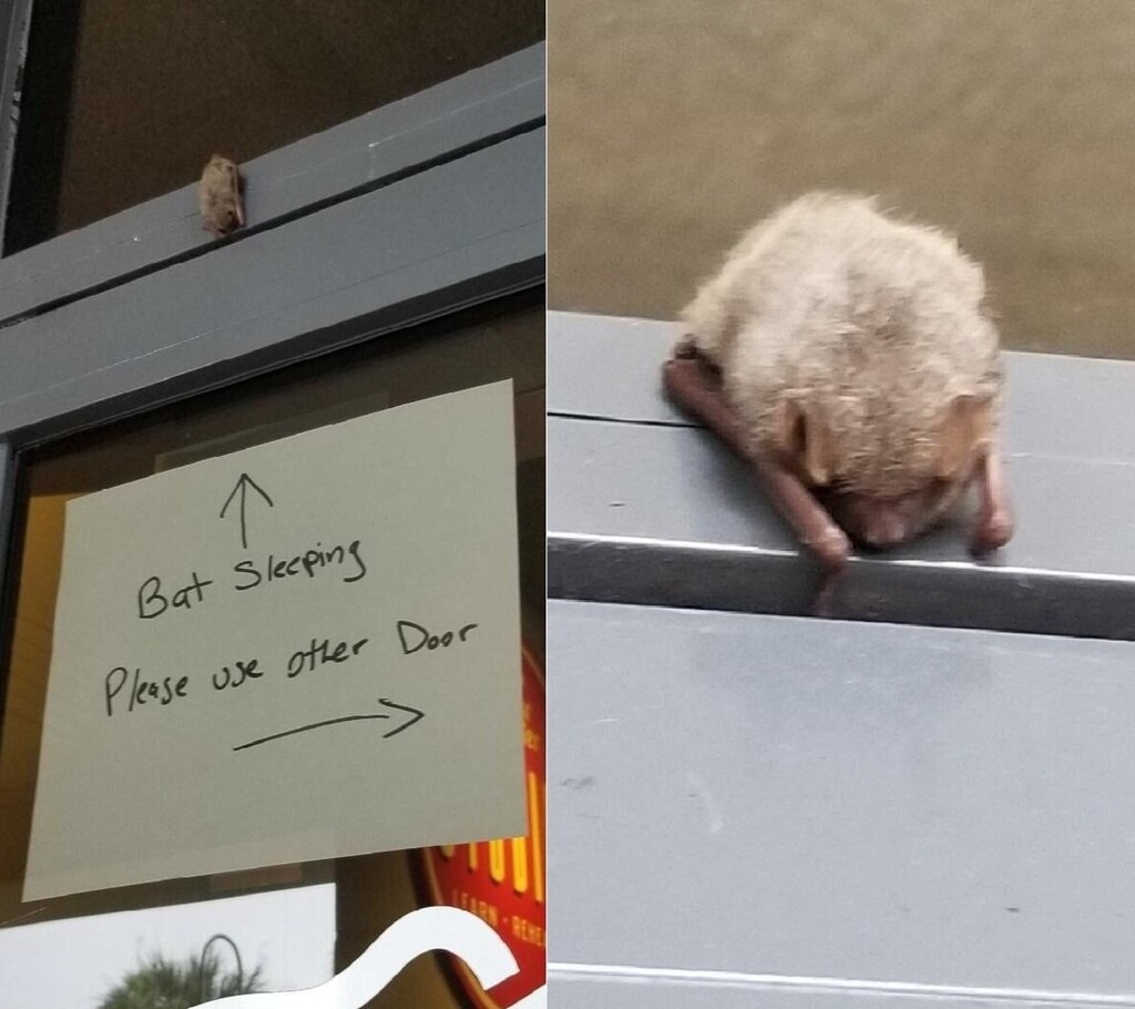 Wholesome Posts