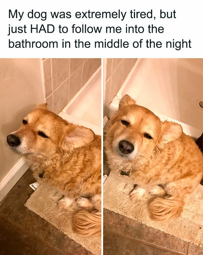 7063 8