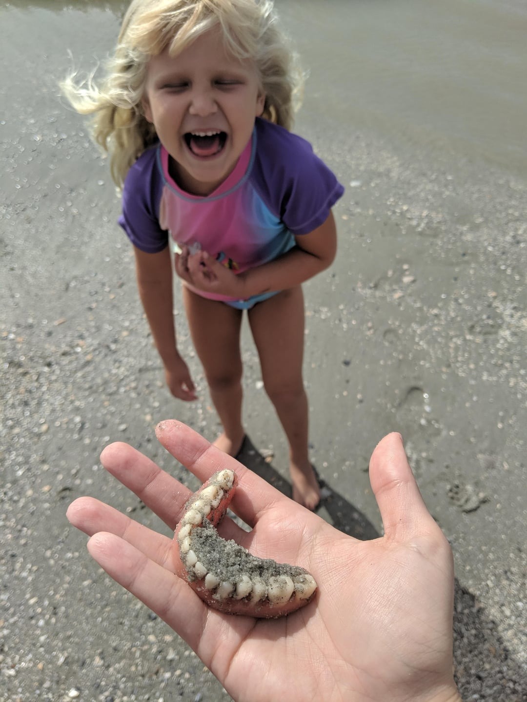 Funny Parenting Pictures