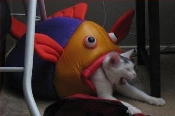 7592 42