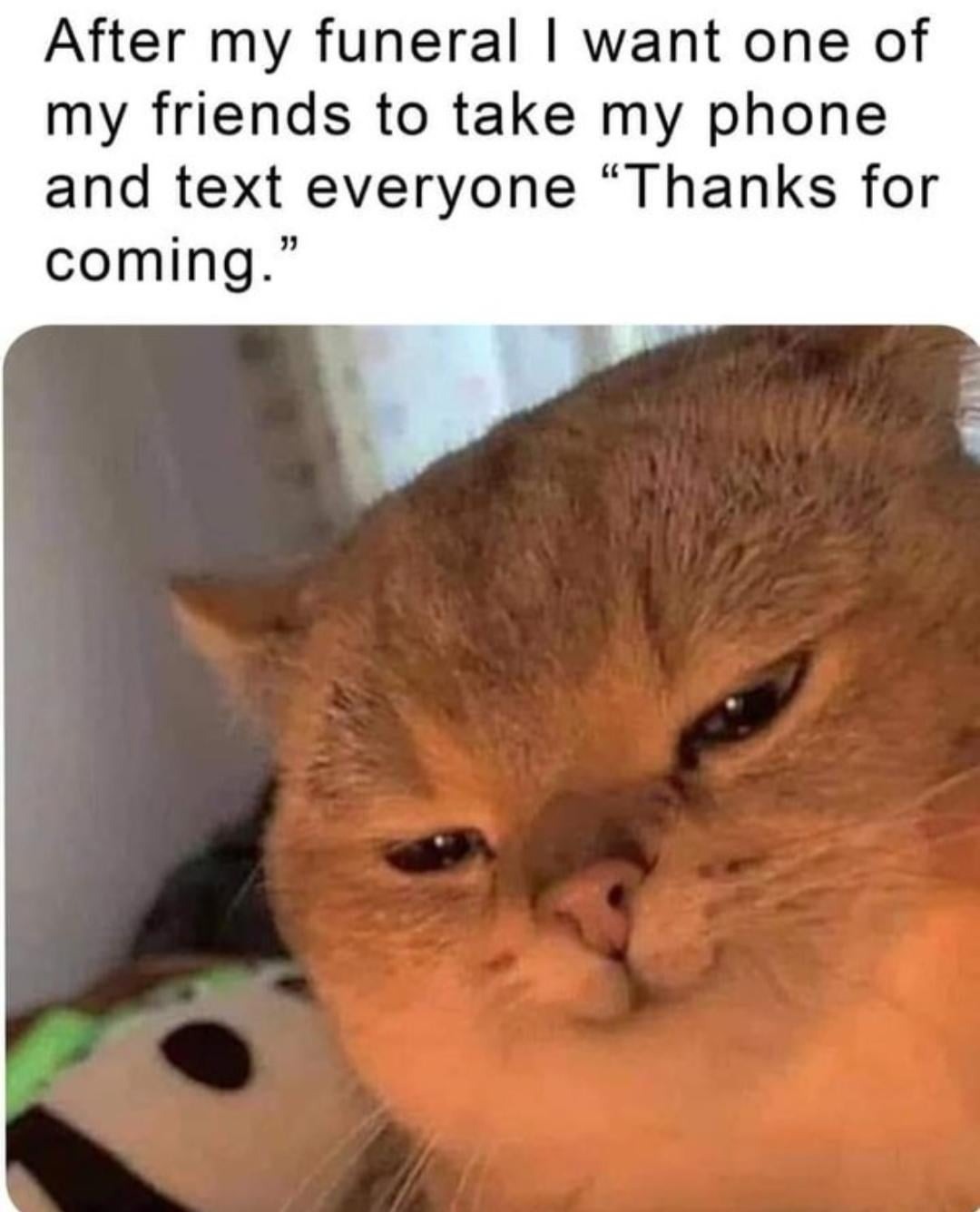 8348 6