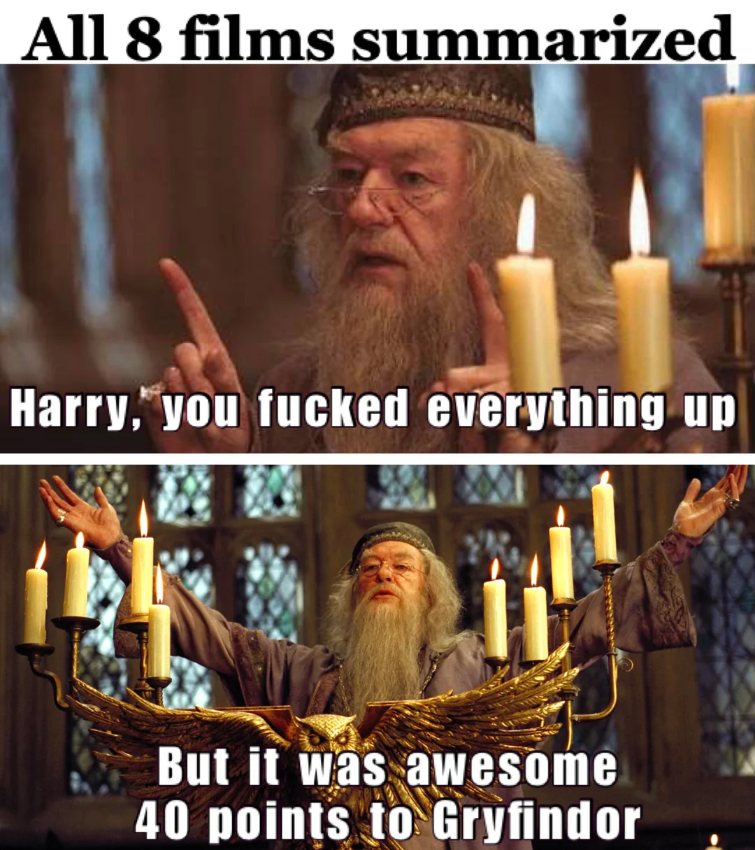 Harry Potter in a nutshell 1