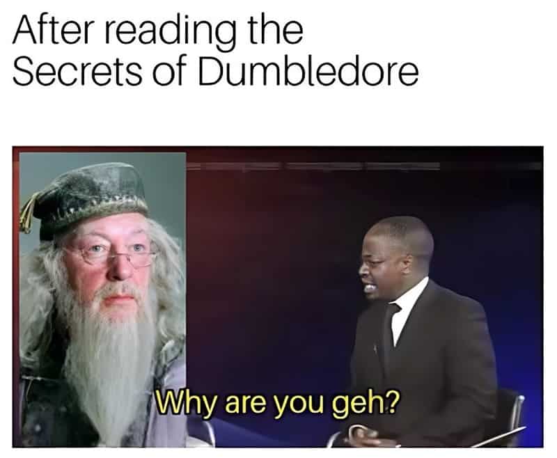 Harry Potter in a nutshell 24