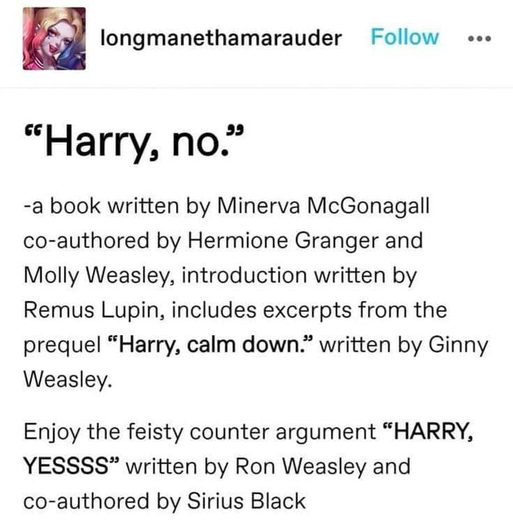 Harry Potter in a nutshell 26