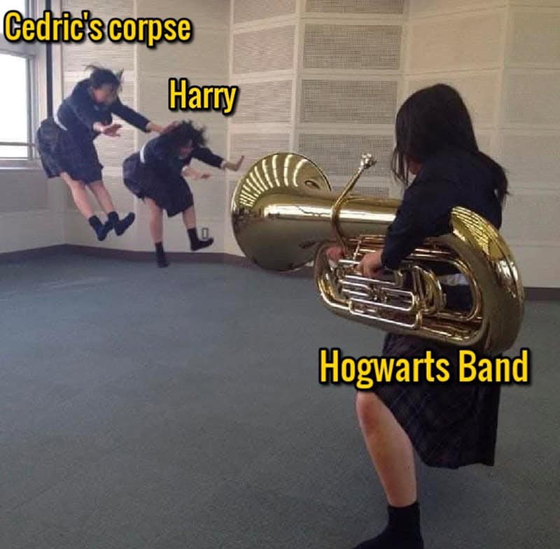 Harry Potter in a nutshell 33