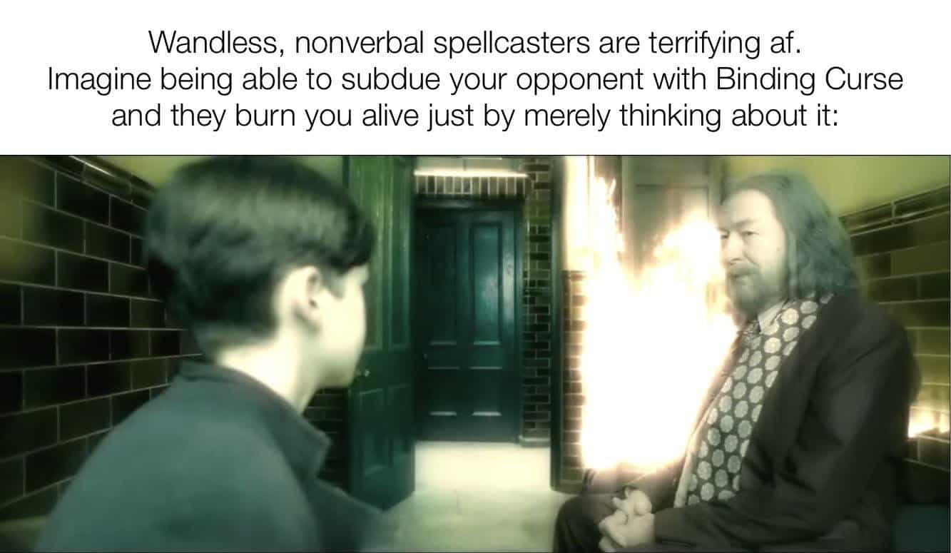 Harry Potter in a nutshell 35