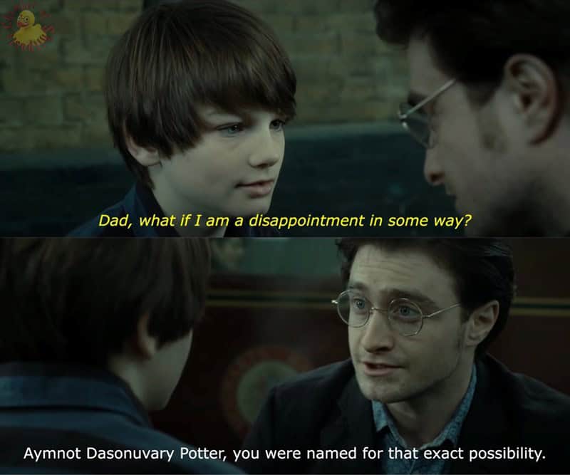 Harry Potter in a nutshell 37