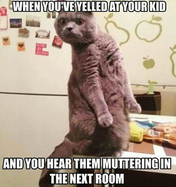 funny parenting memes 12