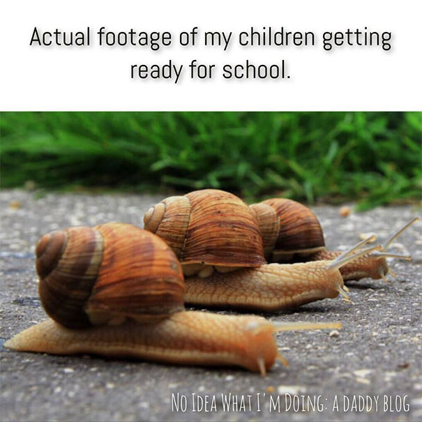 funny parenting memes 15