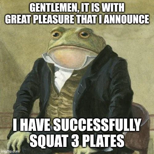 gym 31