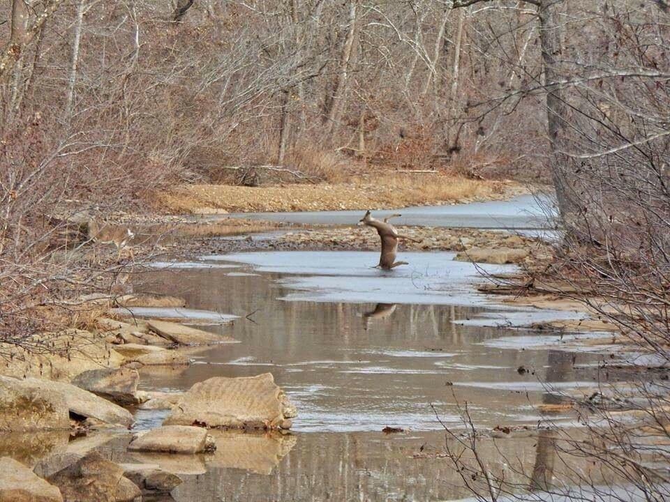 unexpected perfect timing photos 24