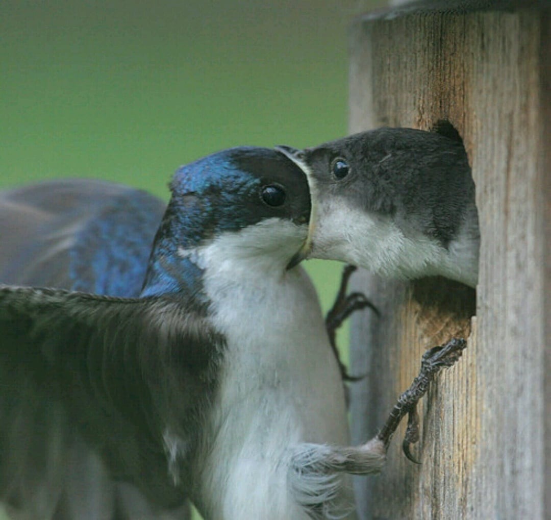 unexpected perfect timing photos 37