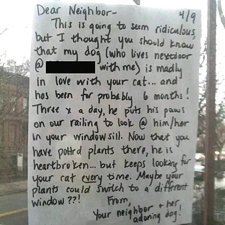 Wholesome Neighbors