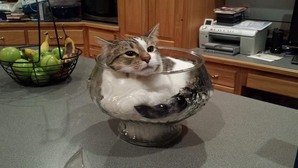 10303 12