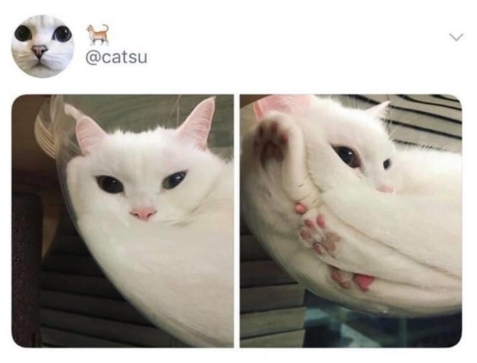 10303 22