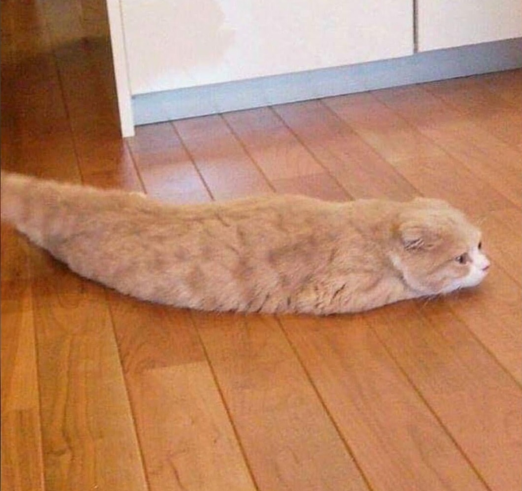 10303 25