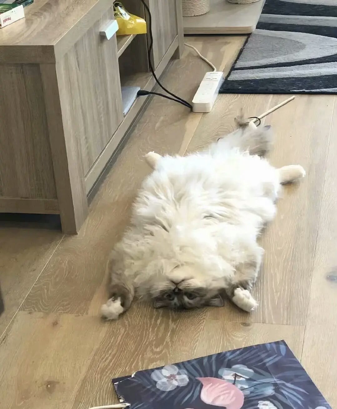 10303 34