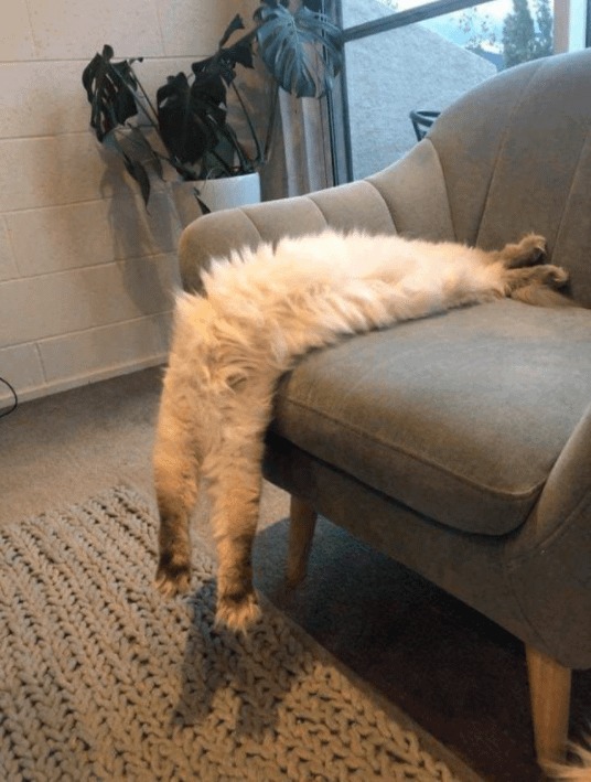 10303 35