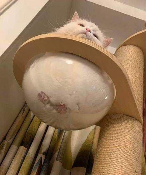 10303 39