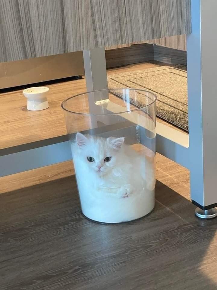 10303 4