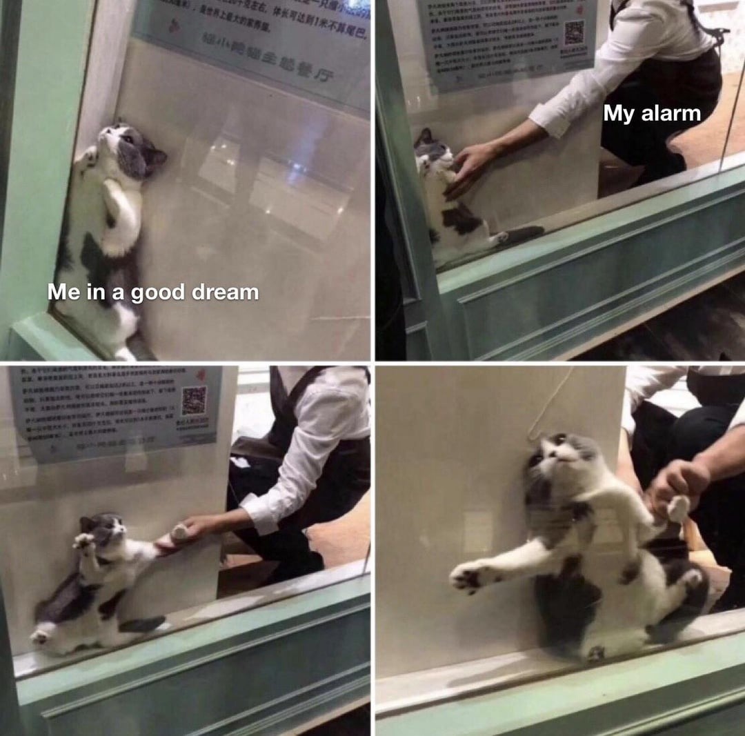 10303 42