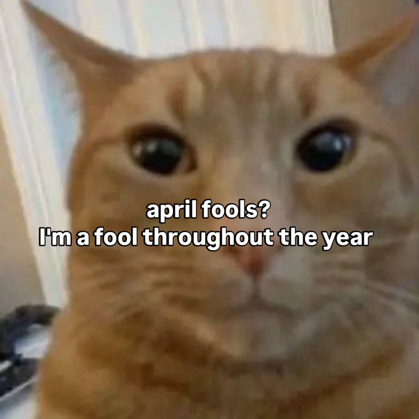 10310 15