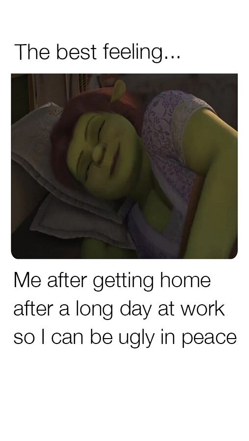 11009 49