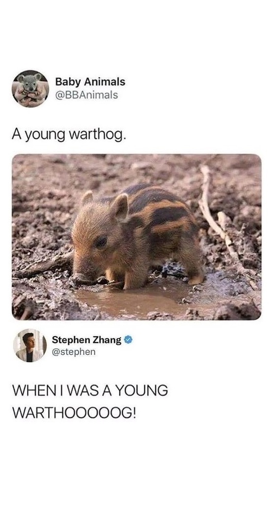 11009 5