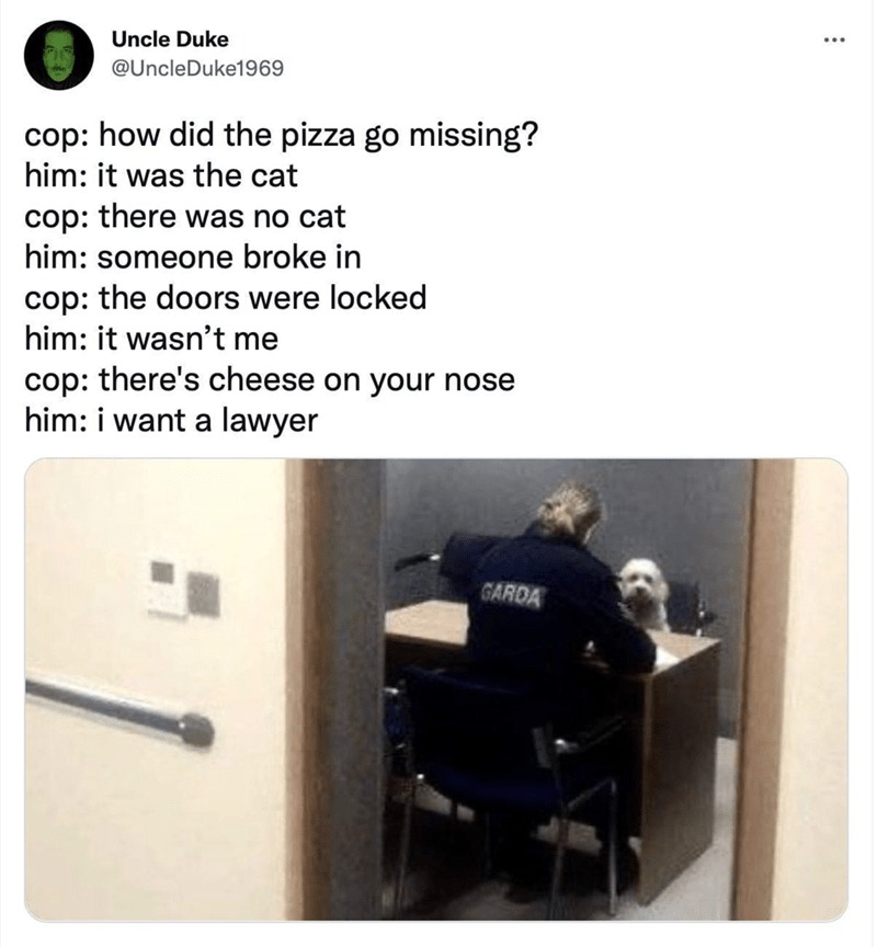 11605 11