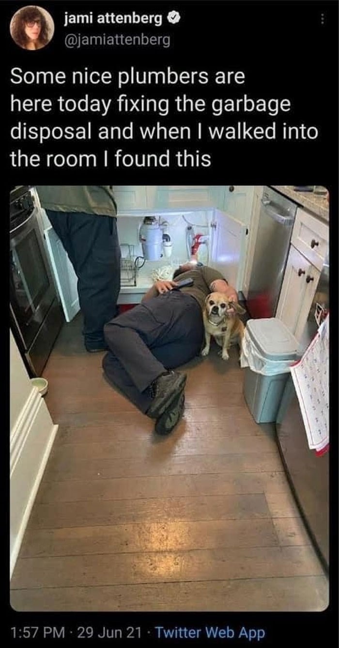 11605 13