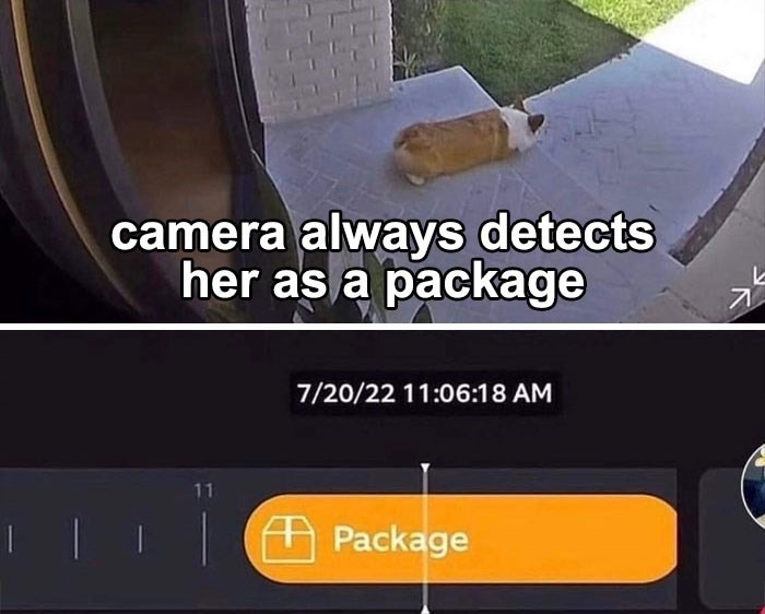 11605 20