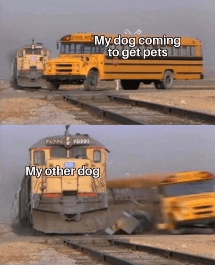 11605 37