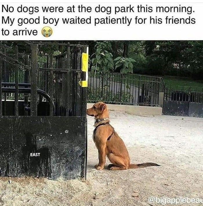 11605 4