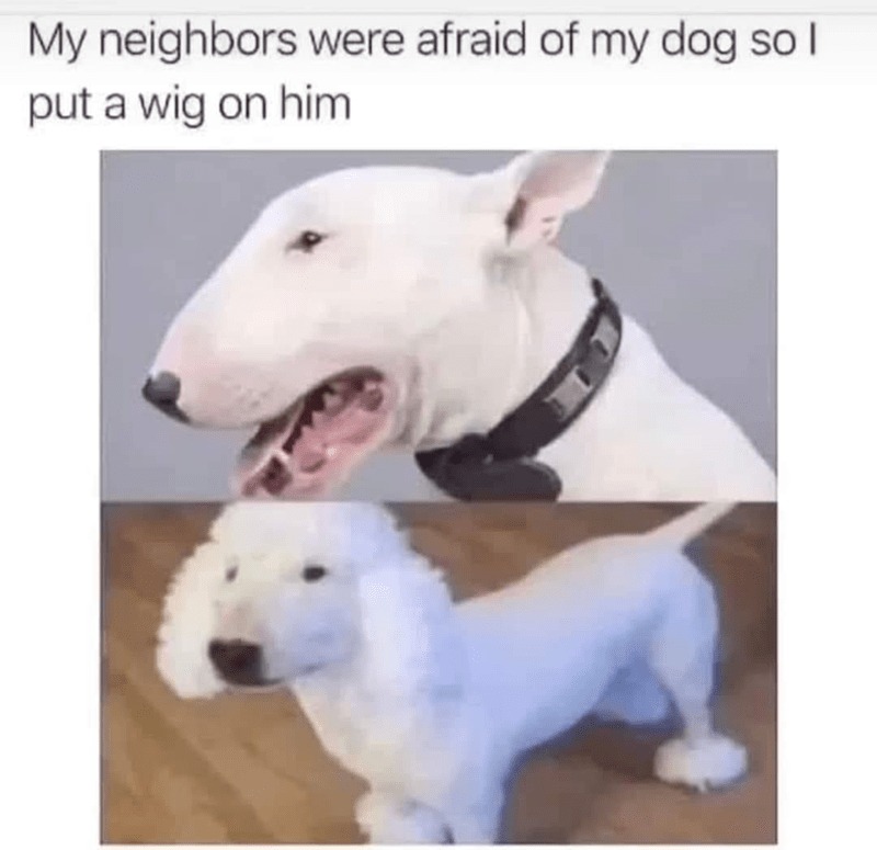 11605 40