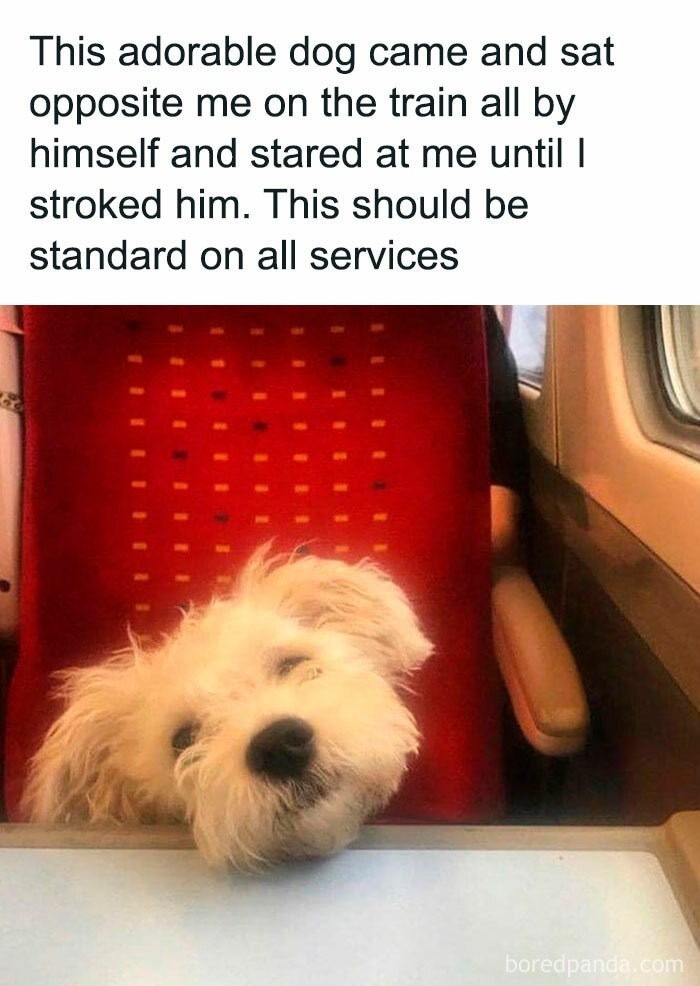 11605 7