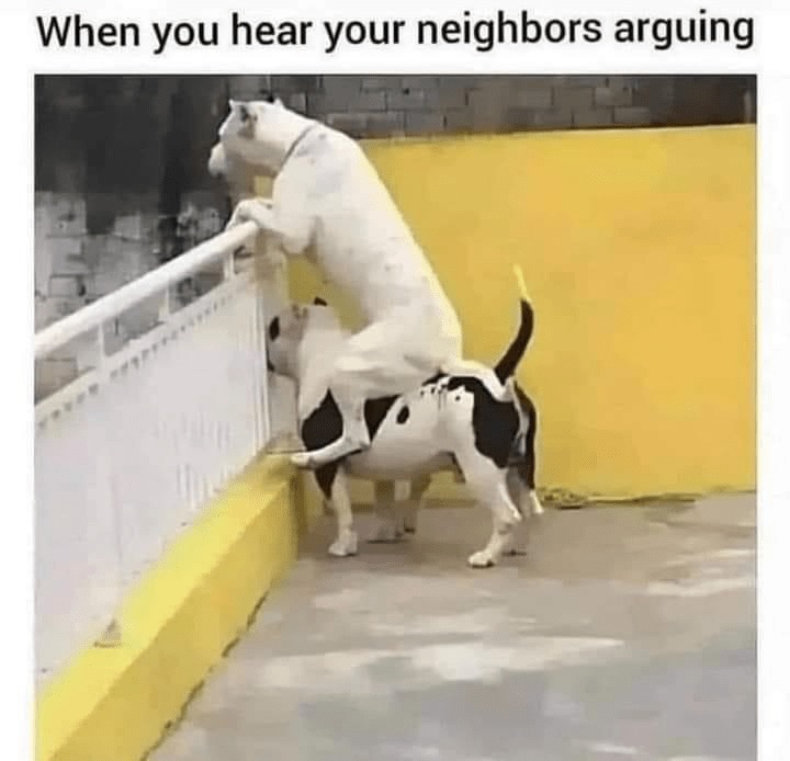 11605 8