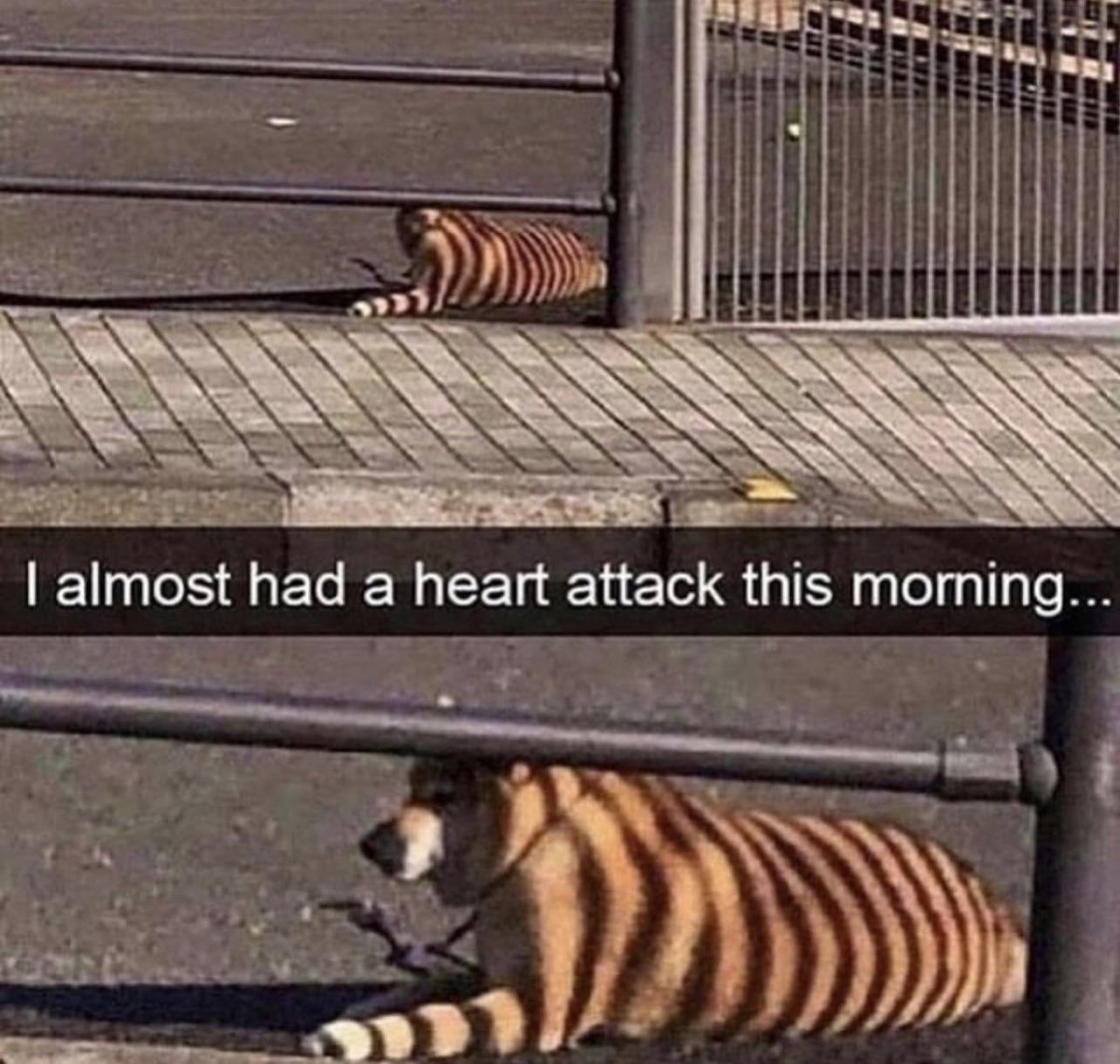 12104 22