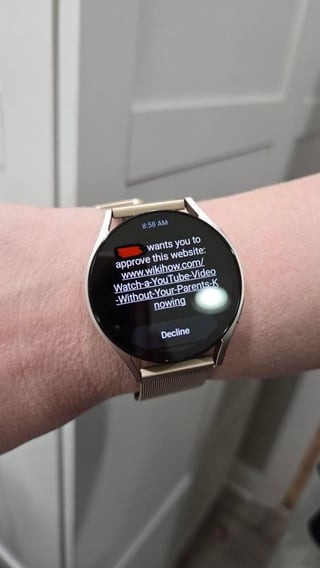 13843 28