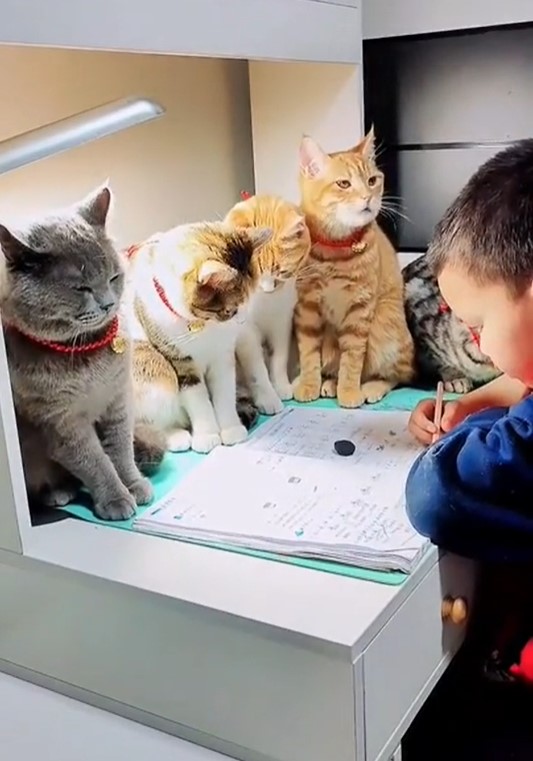 Adorable Kids
