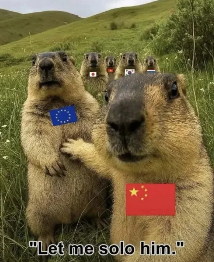 15977 2